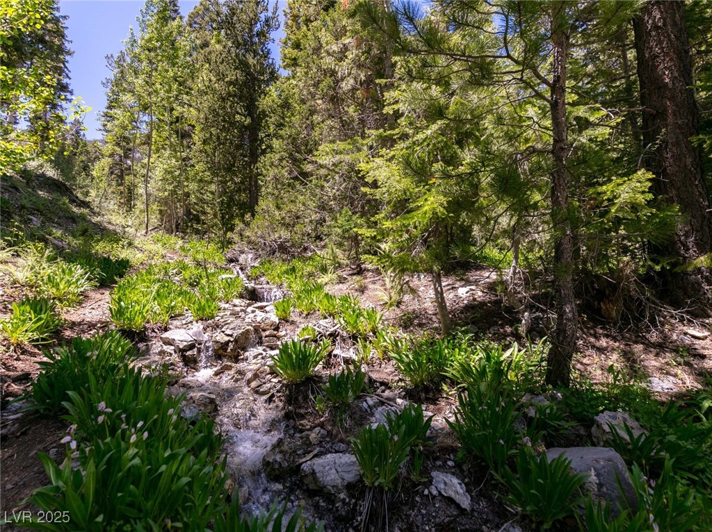 4085 Cougar Ridge Trail