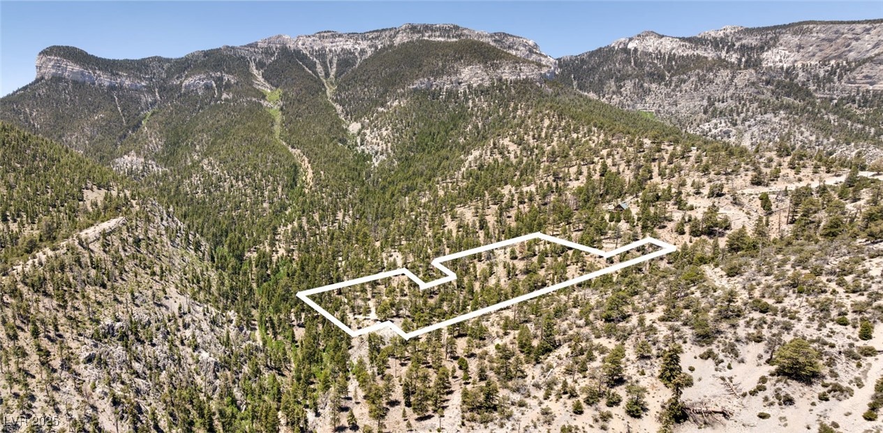 4085 Cougar Ridge Trail