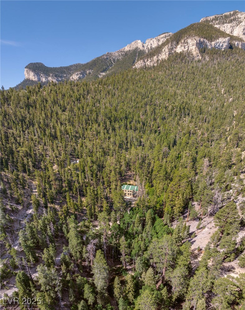 APN 128-07-201-017 N Fork Deer Creek