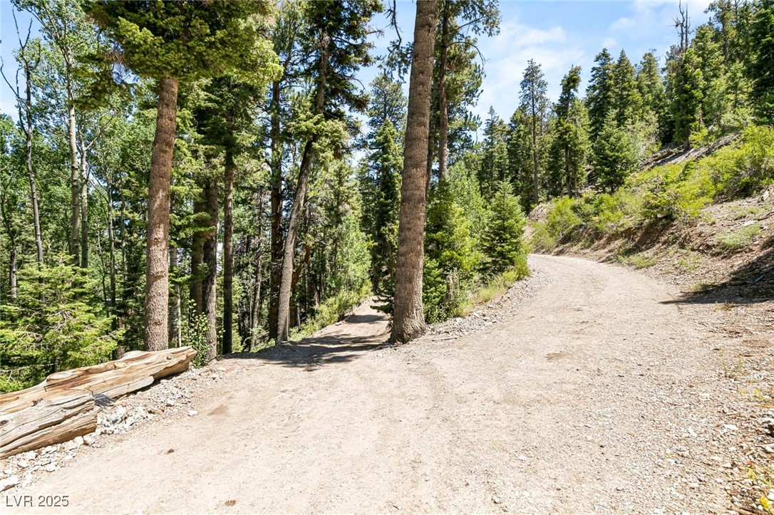 APN 128-07-201-017 N Fork Deer Creek