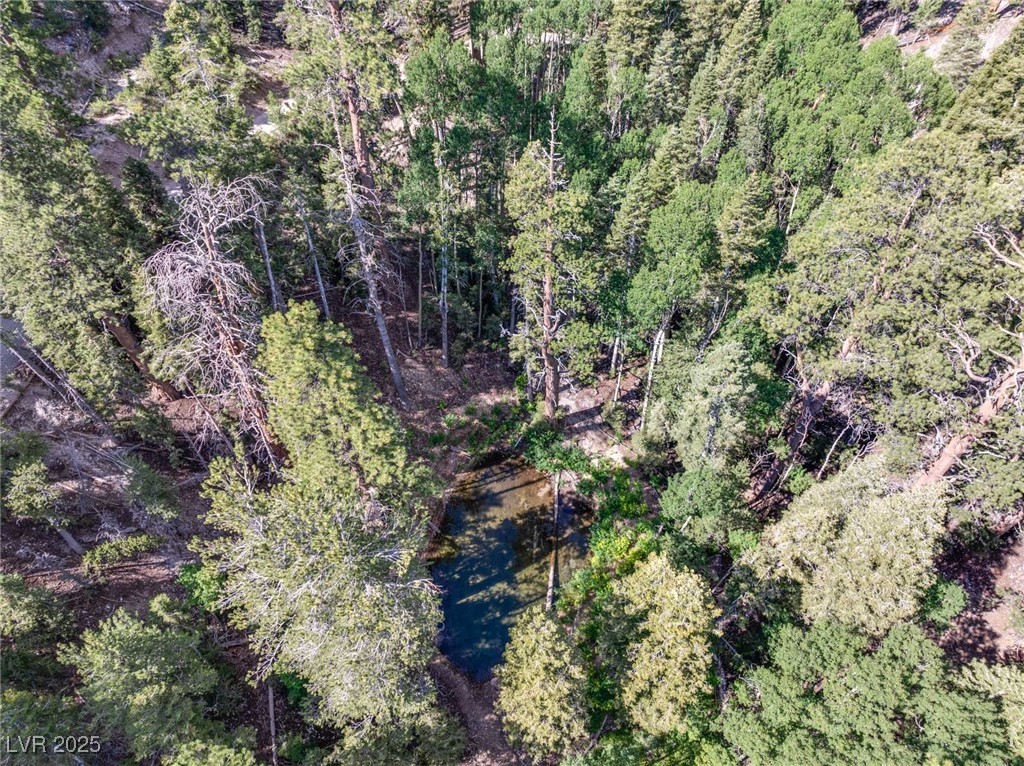 APN 128-07-201-017 N Fork Deer Creek
