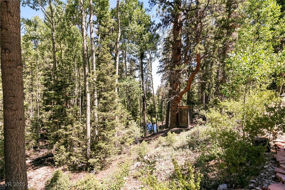 APN 128-07-201-017 N Fork Deer Creek