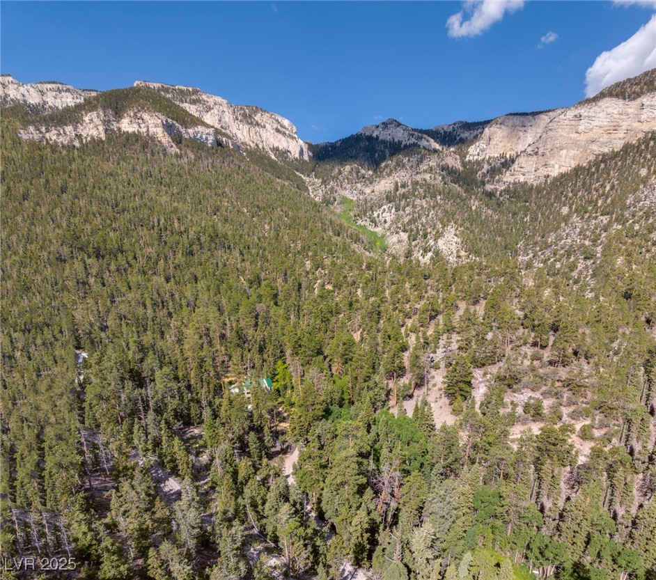 APN 128-07-201-017 N Fork Deer Creek