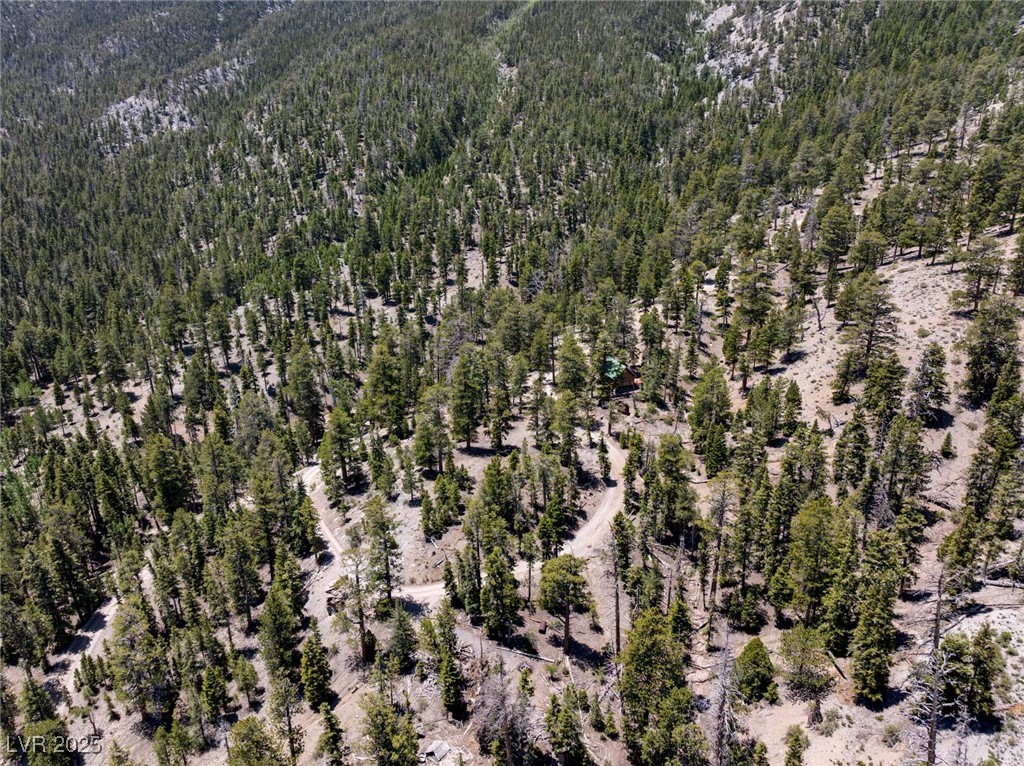 4075 Cougar Ridge Trail