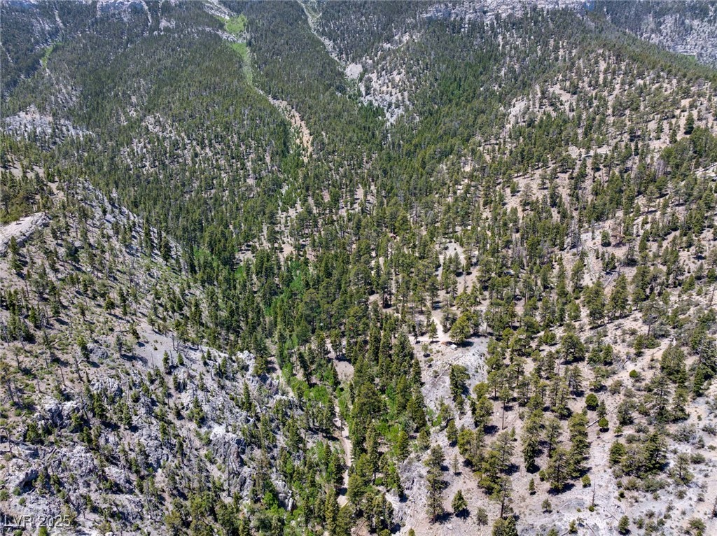 4075 Cougar Ridge Trail