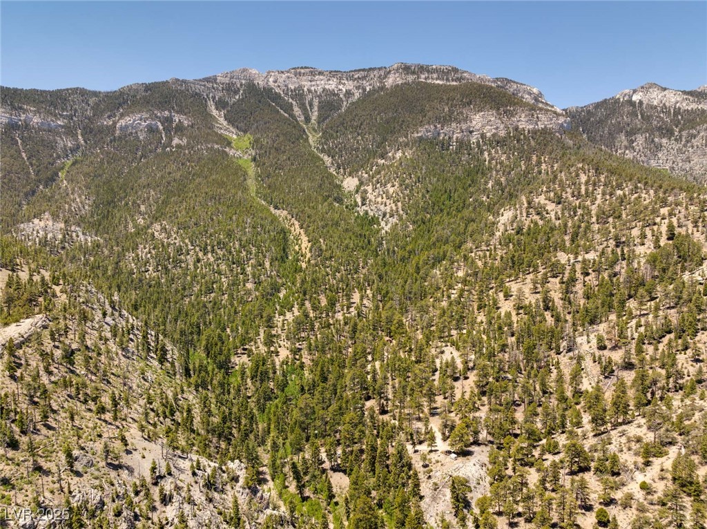 4075 Cougar Ridge Trail