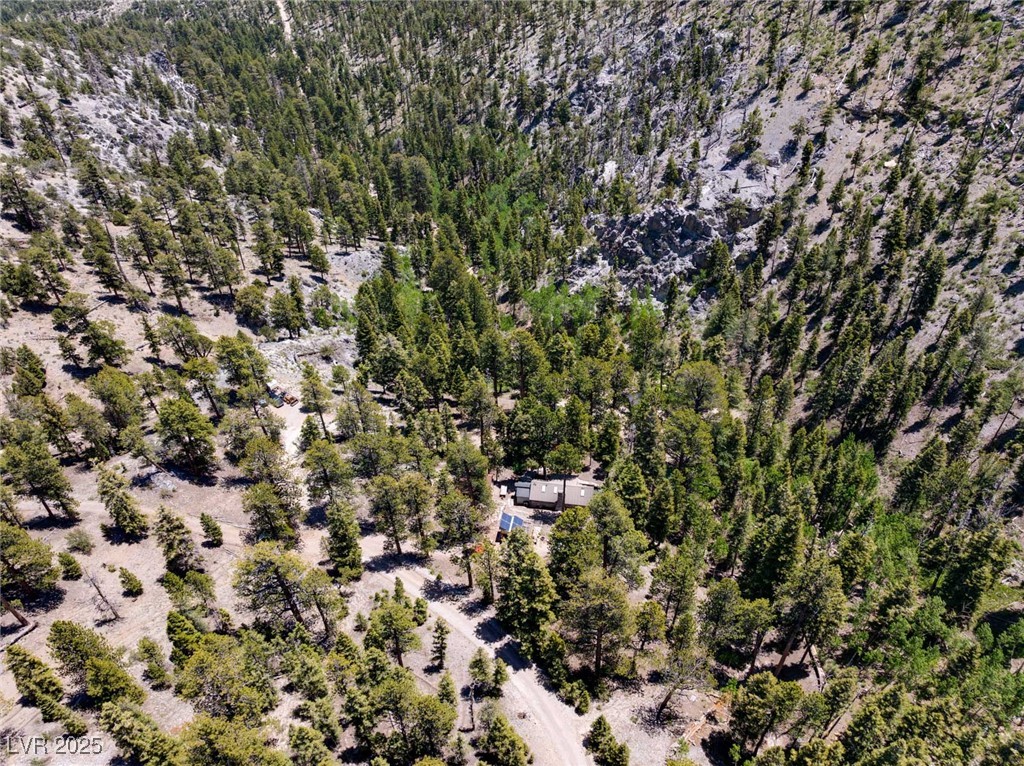 4075 Cougar Ridge Trail