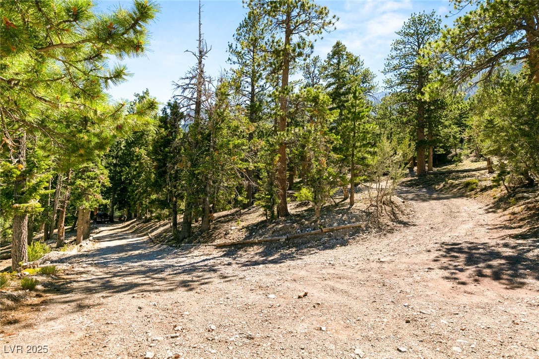 4075 Cougar Ridge Trail