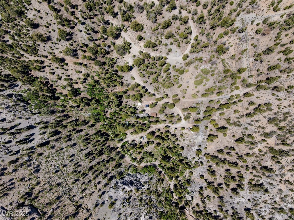 4075 Cougar Ridge Trail