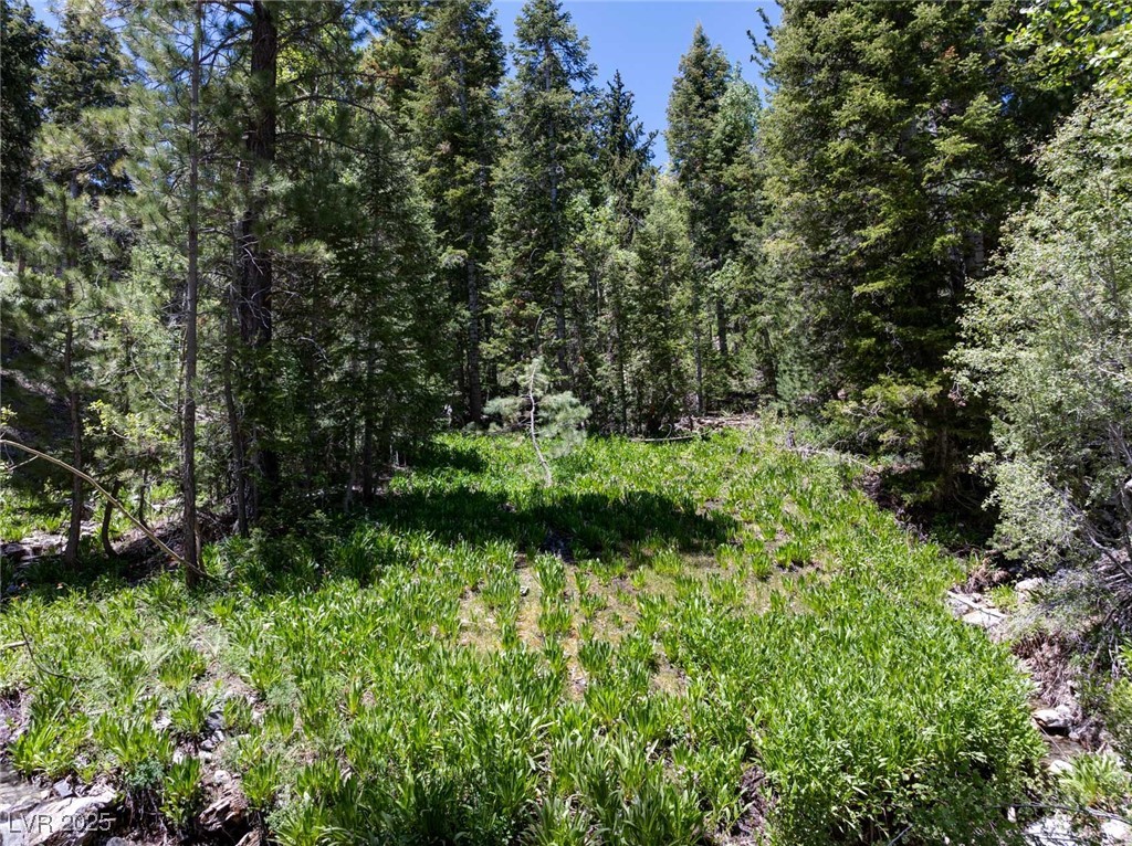 4075 Cougar Ridge Trail