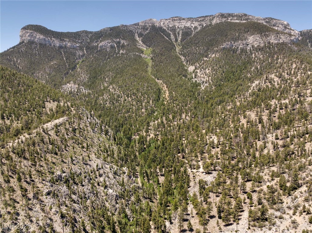 4075 Cougar Ridge Trail