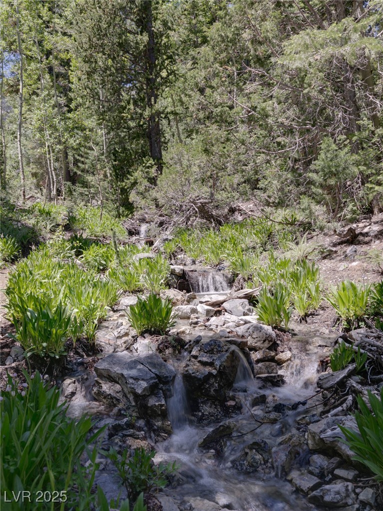 4075 Cougar Ridge Trail