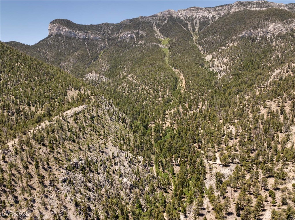 4075 Cougar Ridge Trail
