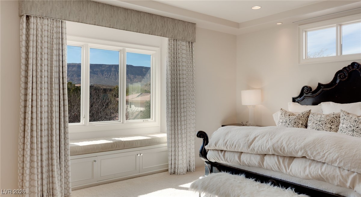11 Misty Peaks Court