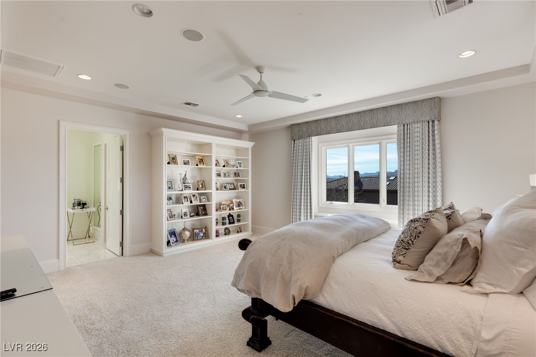11 Misty Peaks Court