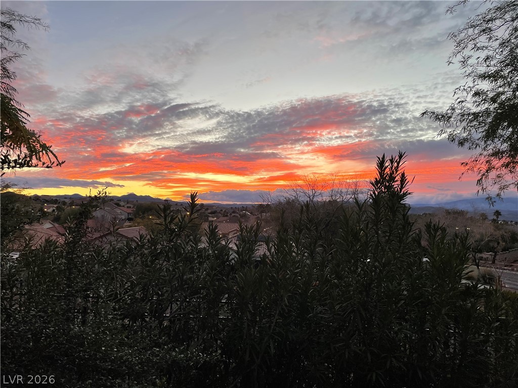 2940 Cimini Court