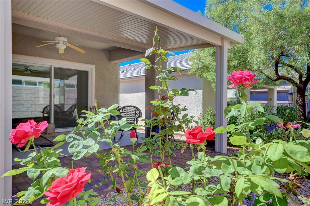 2496 Serene Moon Drive