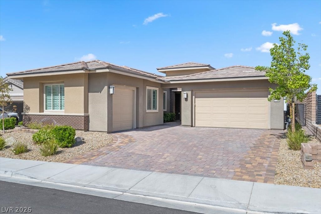 11180 Torch Cactus Drive