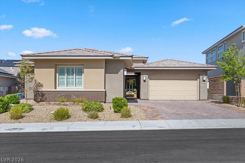 11180 Torch Cactus Drive