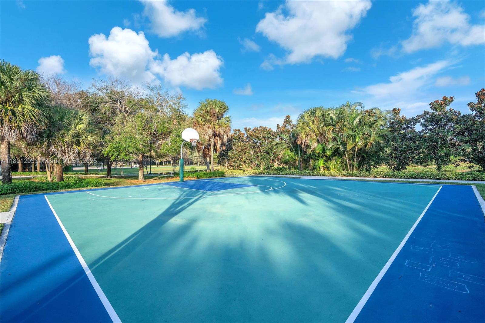 16411 Sapphire Bnd # 16411