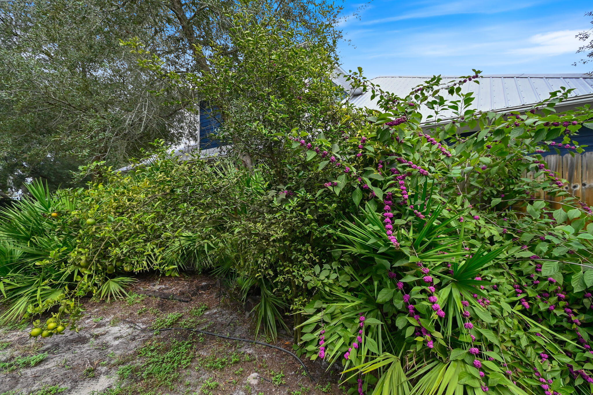 543 Shelter Cove Drive