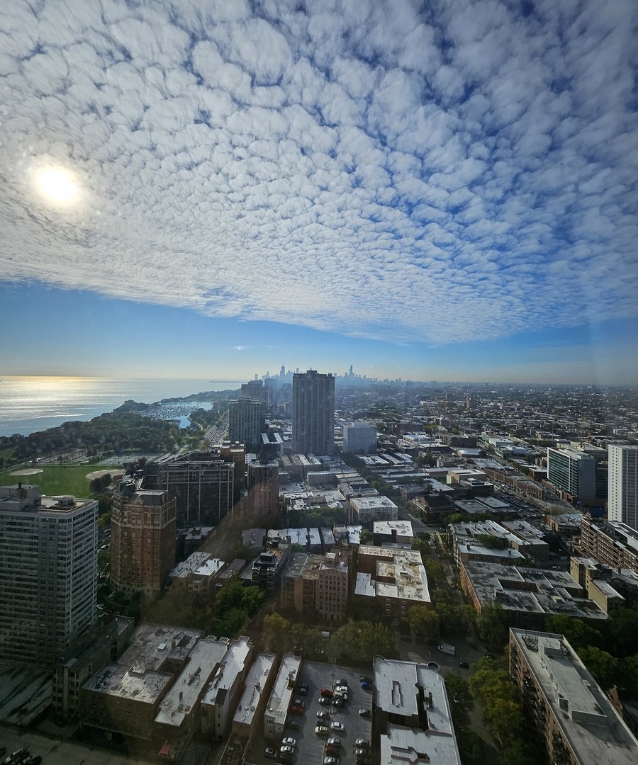 655 W IRVING PARK Road Unit: 4813