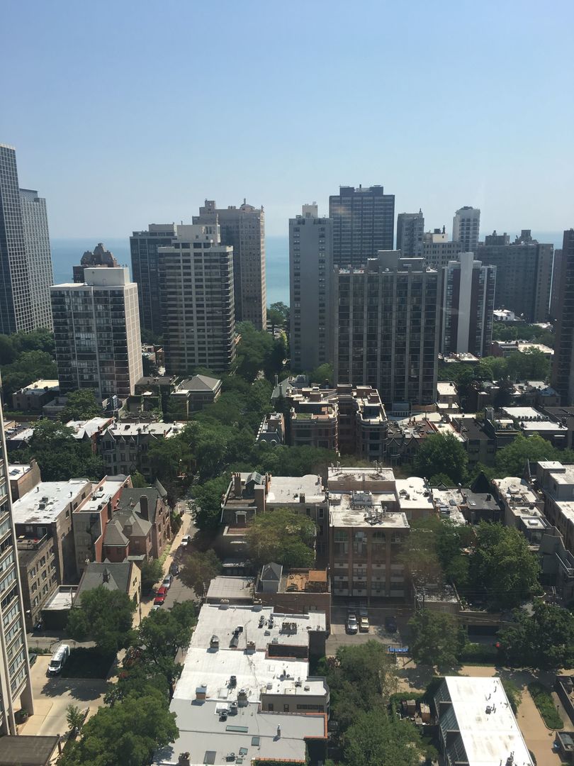 1460 N Sandburg Terrace Unit: 2801