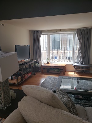 1653 N Halsted Street Unit: CH