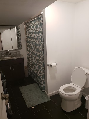 1653 N Halsted Street Unit: CH