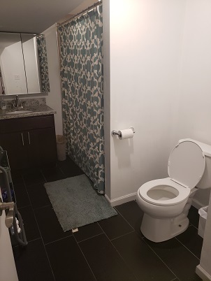 1653 N Halsted Street Unit: CH