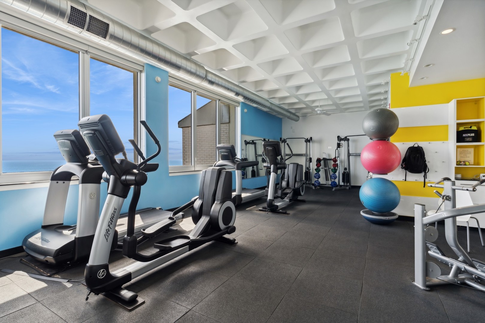 1300 N Lake Shore Drive Unit: 20C