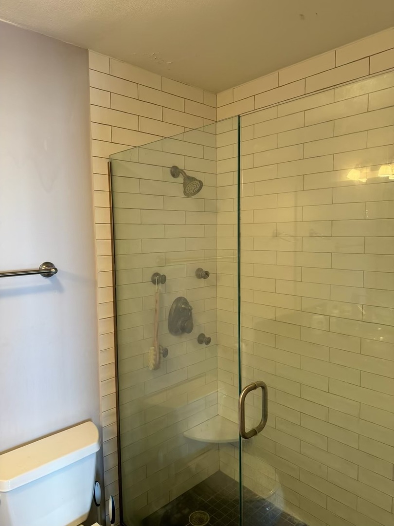 70 W Burton Place Unit: 2401