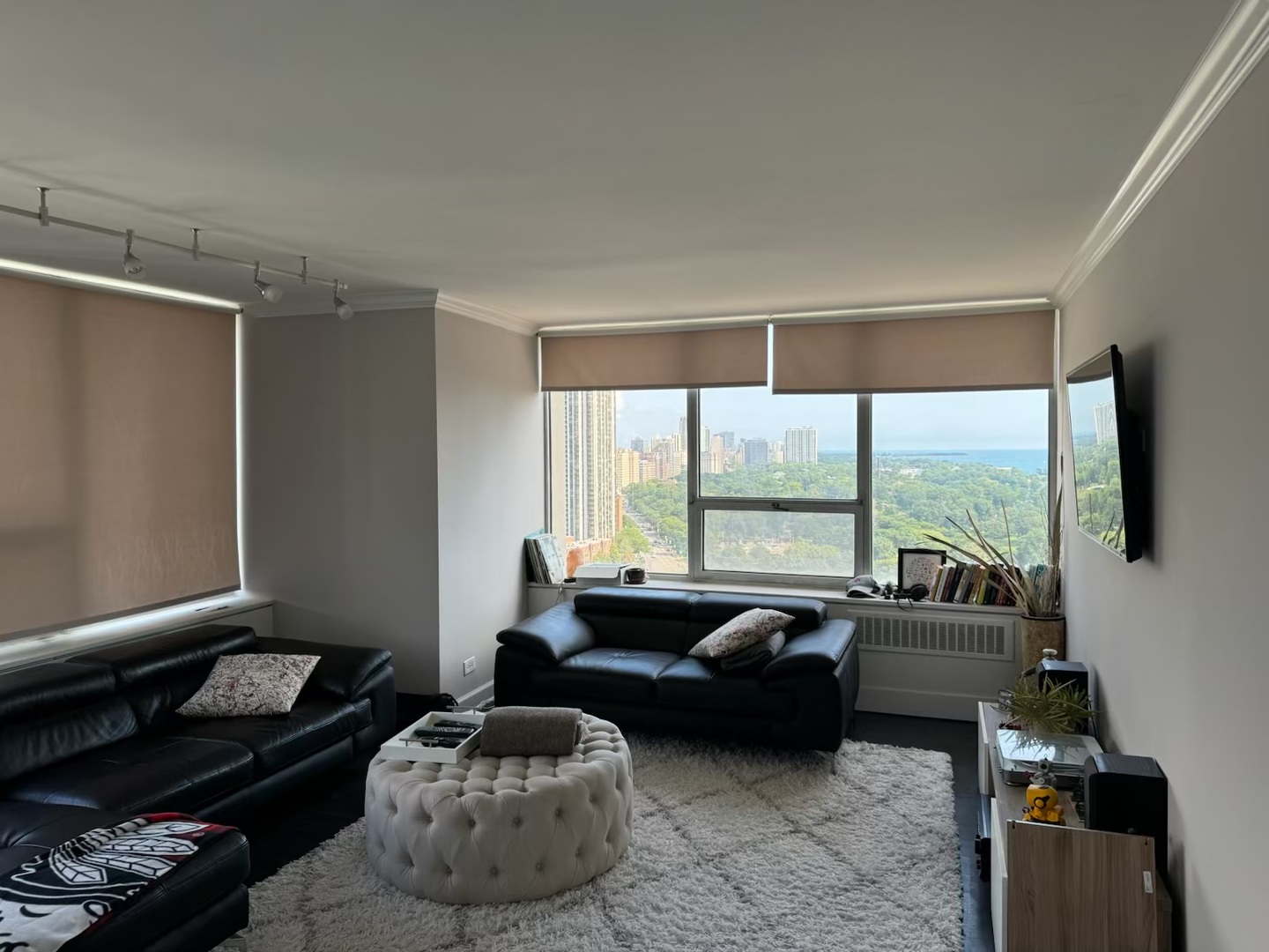 70 W Burton Place Unit: 2401