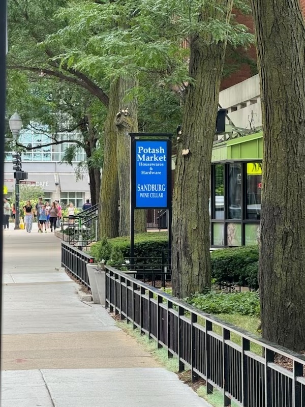 70 W Burton Place Unit: 2401