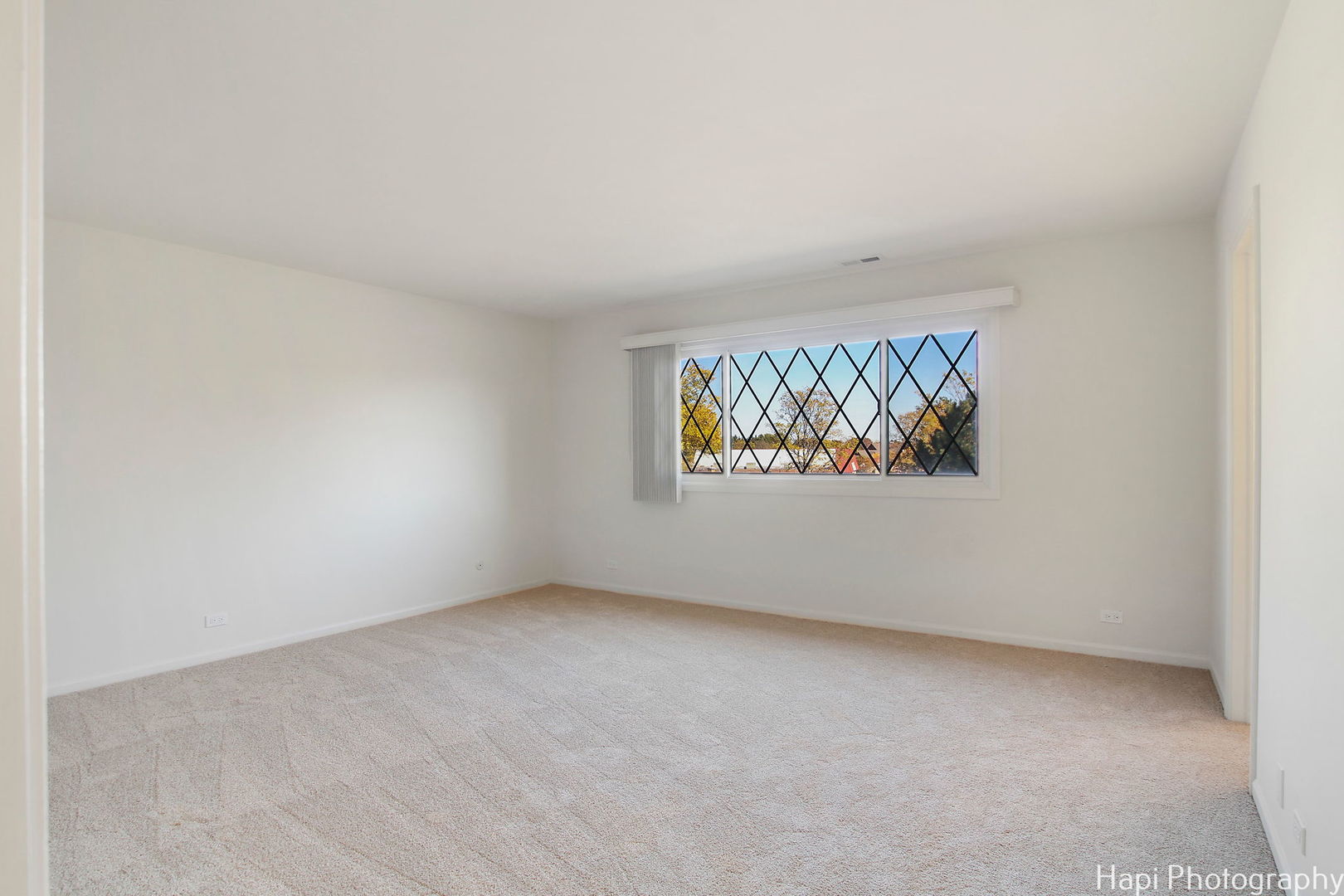 1295 Briarwood Lane Unit: 1295