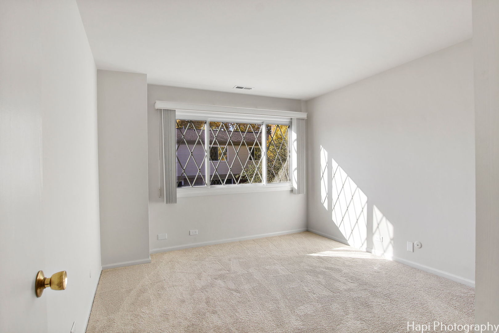 1295 Briarwood Lane Unit: 1295