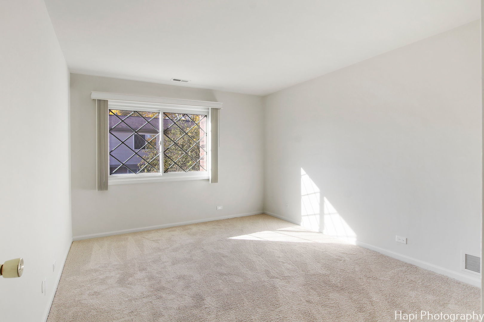 1295 Briarwood Lane Unit: 1295