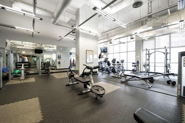 655 W Irving Park Road Unit: 5101