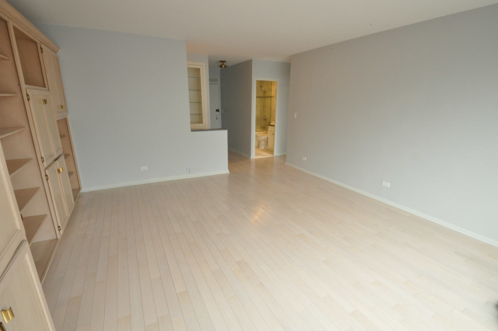 1550 N Lake Shore Drive Unit: 20F