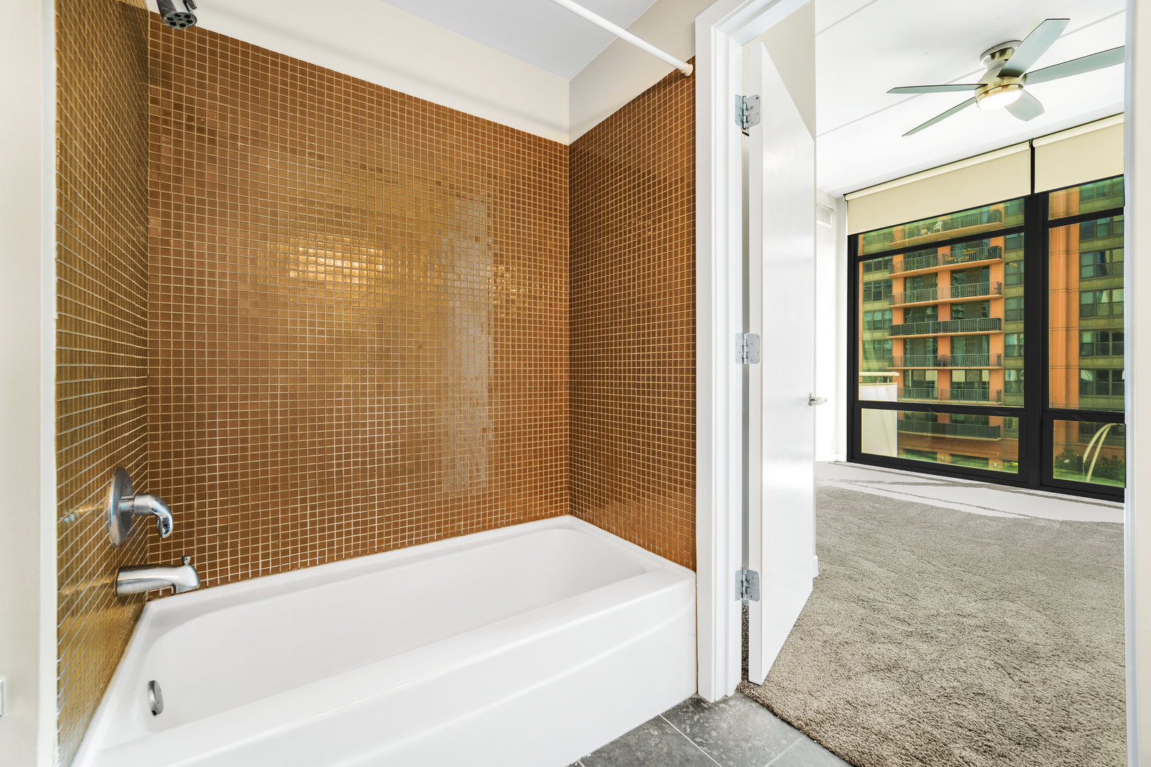 650 W Wayman Street Unit: 603C