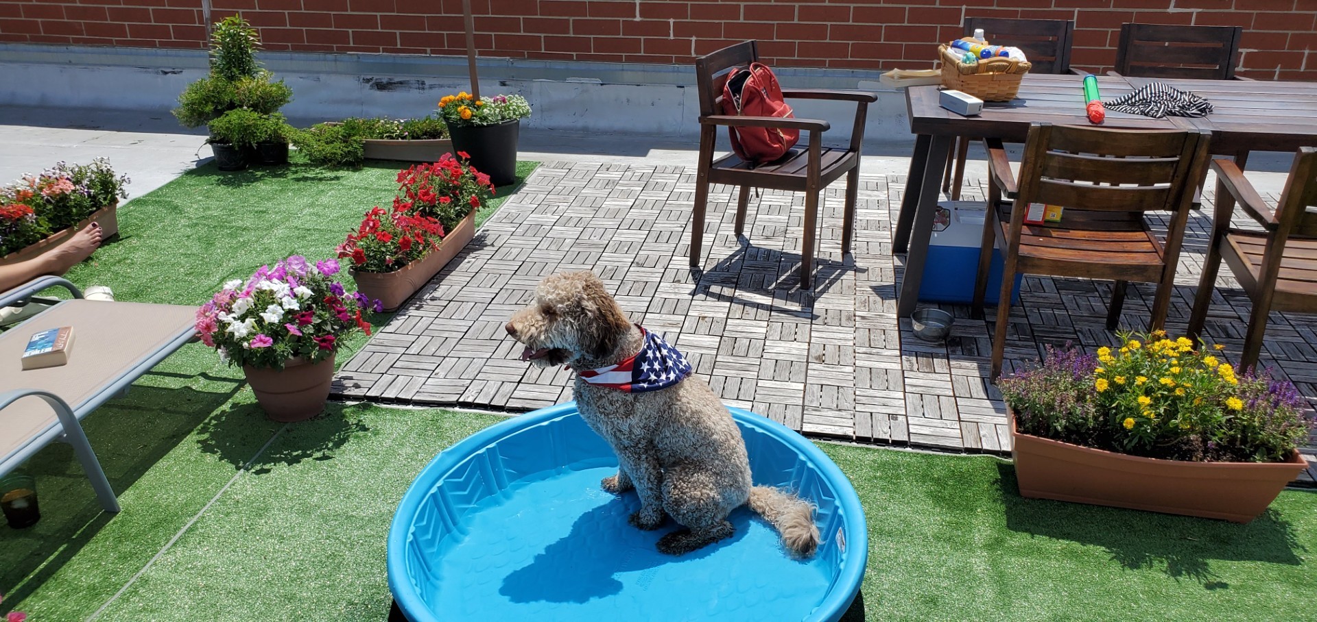 2342 W Bloomingdale Avenue Unit: 408