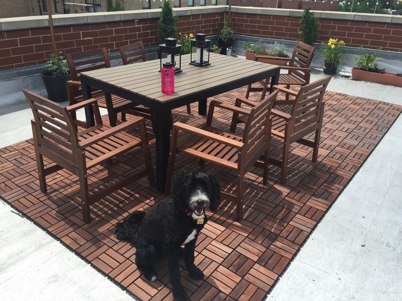 2342 W Bloomingdale Avenue Unit: 408