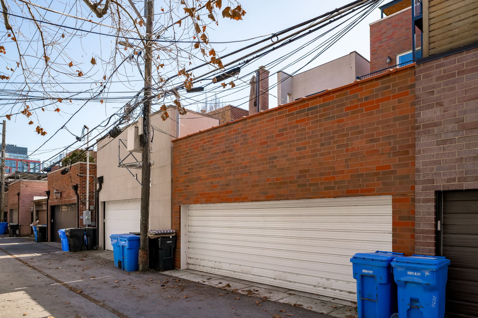 1036 W Altgeld Street Unit: 3