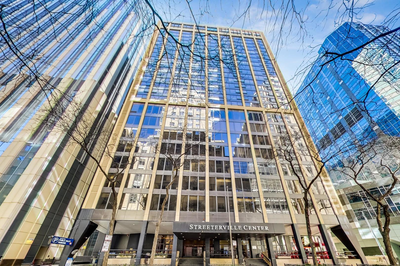 233 E Erie Street Unit: 2410