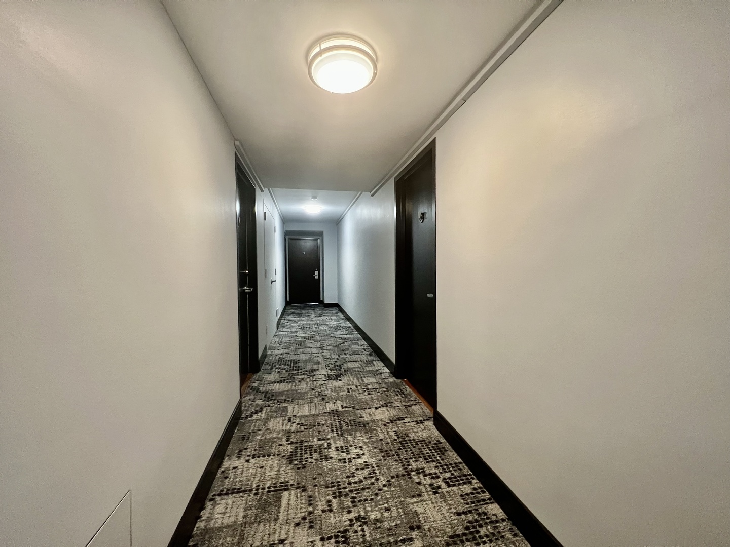 3950 N Lake Shore Drive Unit: 1101A