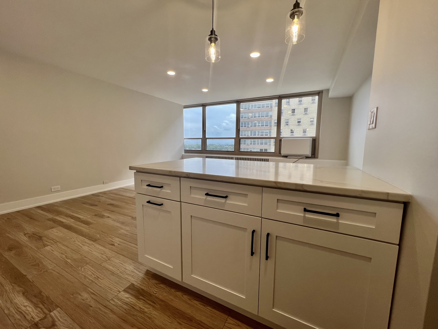 3950 N Lake Shore Drive Unit: 1101A