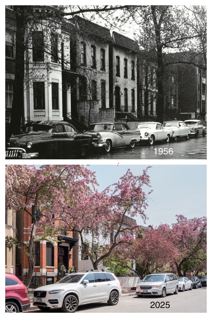 1823 N Lincoln Park West