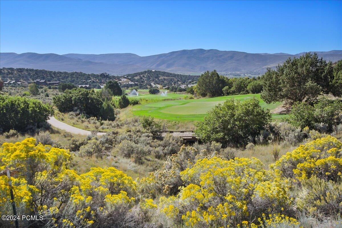 804 N Bald Mountain Circle