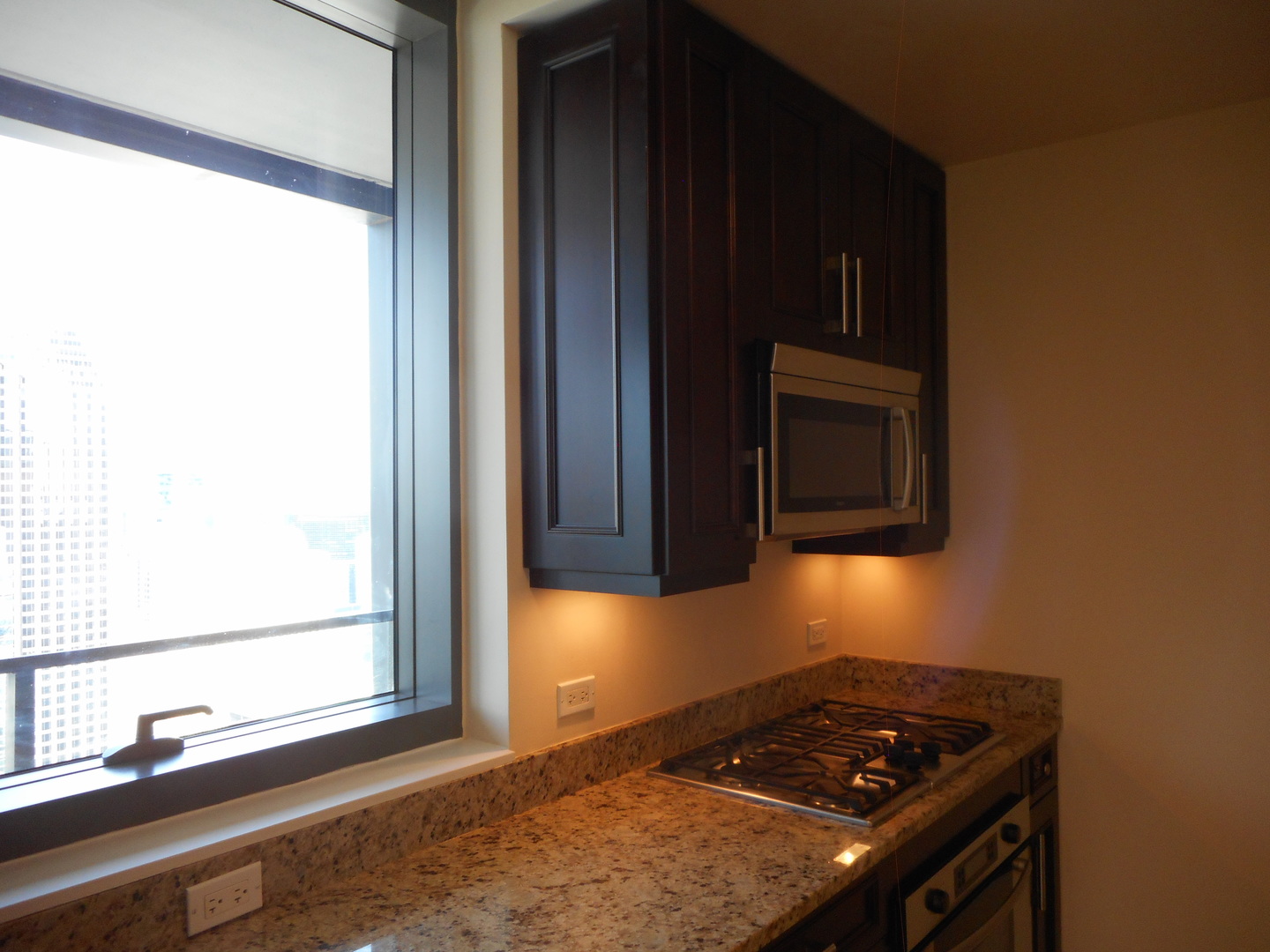 60 E Monroe Street Unit: 5205