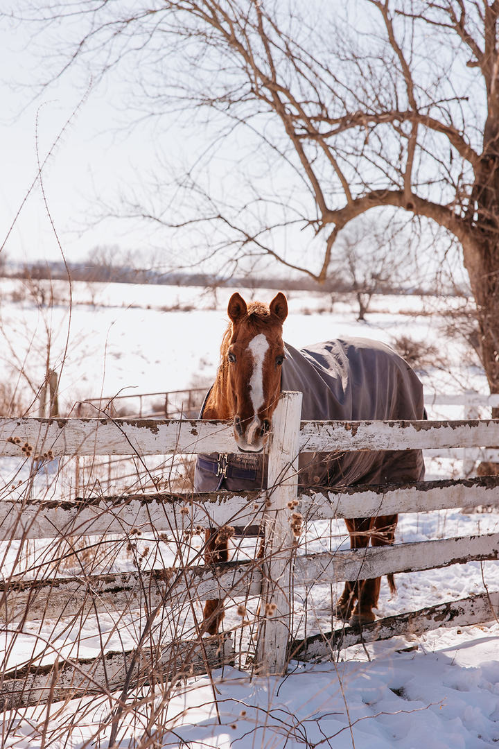 281 N Snipe Hollow Road